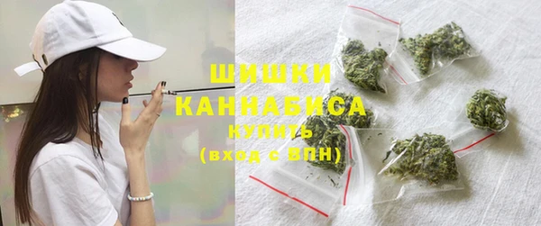 шишки Корсаков