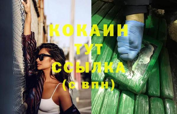 шишки Корсаков