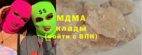 шишки Корсаков