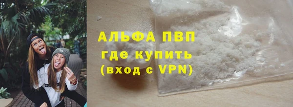 шишки Корсаков