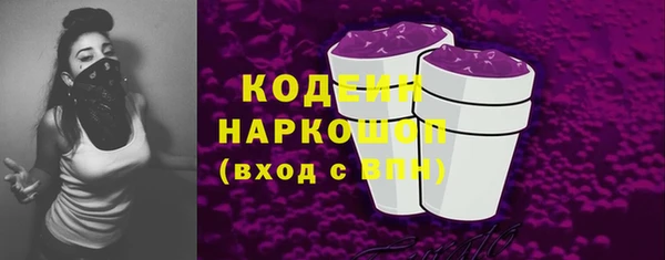 шишки Корсаков