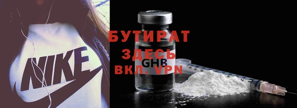 шишки Корсаков
