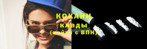 шишки Корсаков