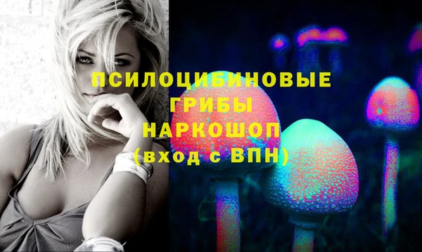 эйфоретик Кодинск