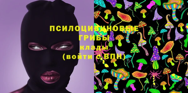шишки Корсаков