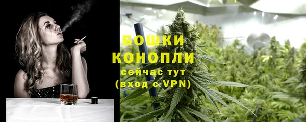 шишки Корсаков