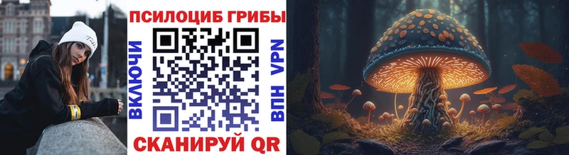где найти Ликино-Дулёво Галлюциногенные грибы MAGIC MUSHROOMS